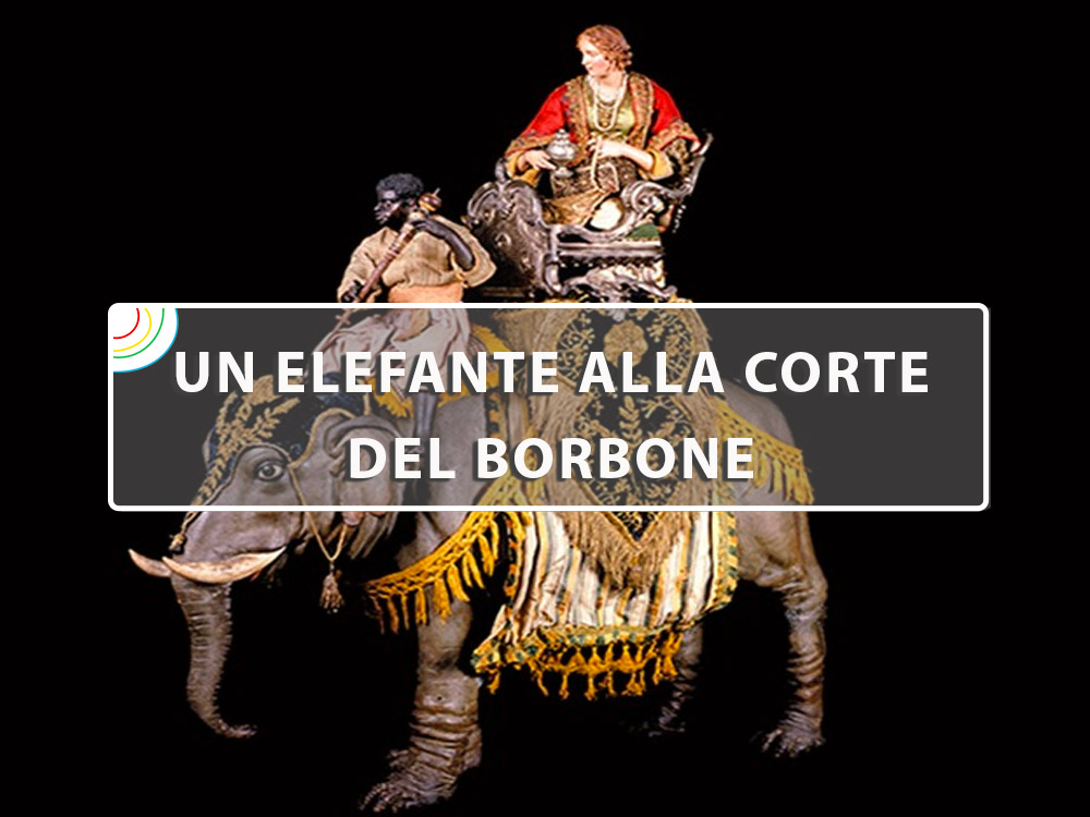 elefante-borbone