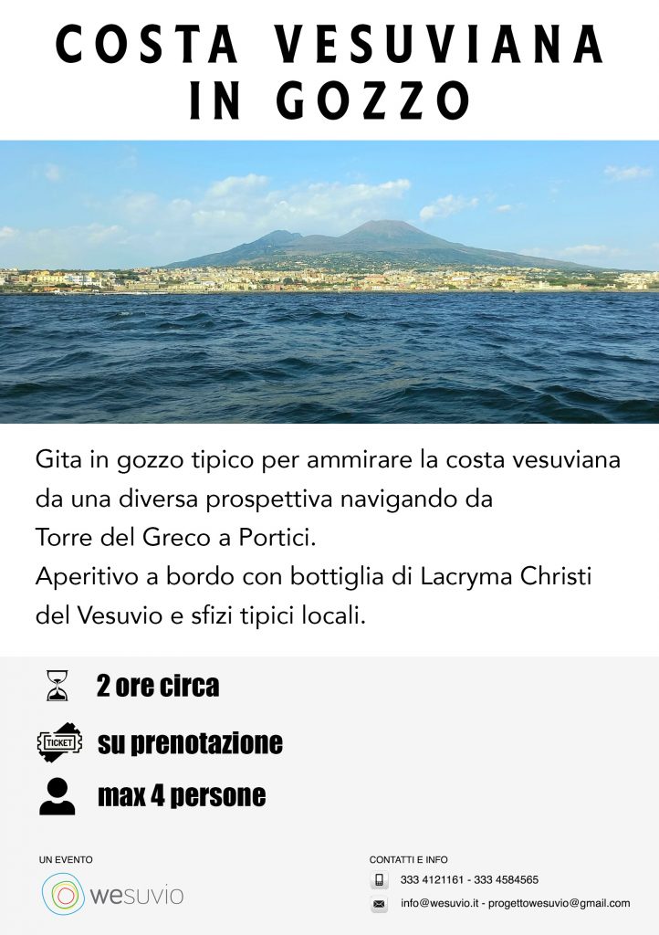 visite guidate barca vesuvio